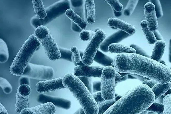 又一知名餐饮店被检测出大肠杆菌超标！